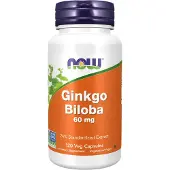 Now Ginkgo Biloba 120 St