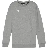 Puma Pullover Kind teamGOAL Casuals