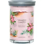 Yankee candle Aromatische Kerze Signature Becher groß Desert Blooms 0,567 kg