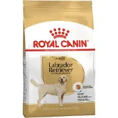 Royal Canin Labrador Retriever Adult Hundefutter - 12 kg