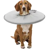 Trixie Veterinary Hundehalsband