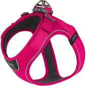Dog Copenhagen Comfort Walk Go Geschirr Wild Rose S