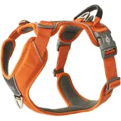 Dog Copenhagen V3 Comfort Walk Pro Harness Orange Sun XL
