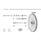Zipp Speichen-Set d-light jbend (x3)