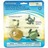 Safari Ltd Life Cycle Of A Green Sea Turtle Figur Mehrfarbig From 3 Years Mehrfarbig From 3 Years
