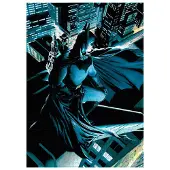 SD Toys DC Comics Puzzle Batman Vigilant SDTWRN24113