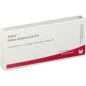 Wala Bulbus Olfactorius GL D 15 Ampullen 10x1 ml