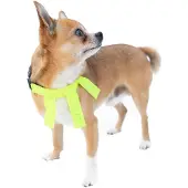 Dogman Reflective collar with flaps