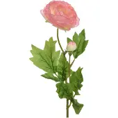 Ksd Künstliche Ranunkeln Stiel 57cm Kunstblumen Seidenblumen Frühlingsblumen rosa