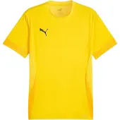 Puma Trikot TeamGoal