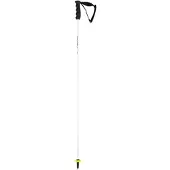 Head Skistöcke Worldcup Rebels Carbon White / Black-110 cm