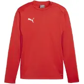 Puma Teamgoal Trainingssweat Herren - Rot
