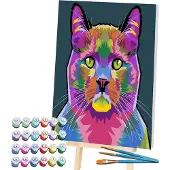 HOBBY2YOU Splat Malen nach Zahlen, KATZE 30x40 cm