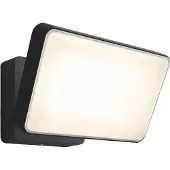 Philips Hue White+Color Discover LED-Außenstrahler Discover, dimmbar, schwarz, Aluminium, Smart Home Wandleuchte außen