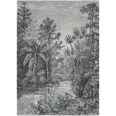 Superfresco Fototapete "Jungle" glatt 200 cm Länge