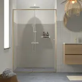 Sealskin Contour Schiebetür für Nische inkl. Antikalk 120x200cm Gebürstetes Gold