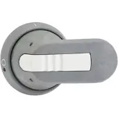 ABB OHG65J6 Pistolengriff grau 65mm Wellen-ř 1SCA022380R9740