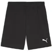 Puma Herren Shorts teamGOAL Shorts