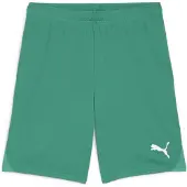 Puma Teamgoal Shorts Herren - Grün