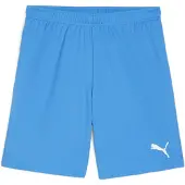 Puma Herren Shorts teamGOAL Shorts