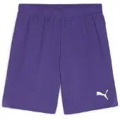 Puma teamGOAL Shorts Flock: - Größe: M