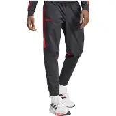 Adidas Jogginghose Predator 30th