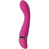 Intense - Leo Vibrator aus Silikon 1 St