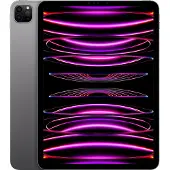 Apple MNXF3FD/A iPad Pro 27,96cm 11,0Zoll 256GB WiFi Gray M2 Chip Liquid Retina Display 2.388 x 1.668 pixel 264 ppi