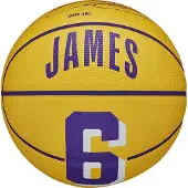 Wilson Nba Player Icon Mini Bskt Lebron