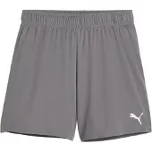 Puma Teamgoal Shorts Damen - Grau