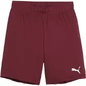 Puma Teamgoal Shorts Kinder - Bordeaux