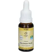 Bach Bloesem Bachblüten No.28 Scleranthus Bio 20 ml Tropfen