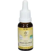 Hager Pharma GmbH Bachblüten No.16 Honeysuckle Bio 20 ml Tropfen