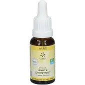 Hager Pharma GmbH Bachblüten No.35 White Chestnut Bio 20 ml