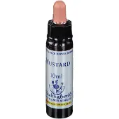 Healing Herbs Bachblüten Mustard Healing Herbs Tropfen 10 ml