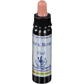 Healing Herbs Bachblüten Rock Rose Healing Herbs Tropfen 10 ml