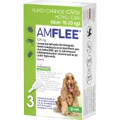 Amflee Spot-on Hund - 10-20 kg - 3 Pipetten