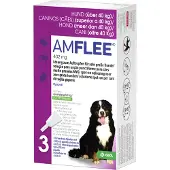 Amflee Spot-On (402 mg) Hund XL (40+ kg)