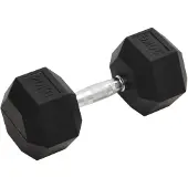 vidaXL Kurzhantel 20 kg Gusseisen