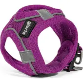 Gloria Air Mesh Trek Star Hundegeschirr XS XS