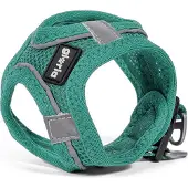 Big Buy Cooking Geschirr für Perro Gloria Trek Star 33,4-35 cm 51-52 cm Türkis L