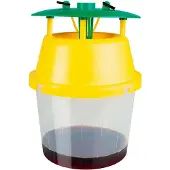 Masso 231609 Velutine Wasp Trap Durchsichtig
