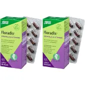 Salus Floradix Eisen plus B-Vitamine Doppelpack 2x40 St Kapseln