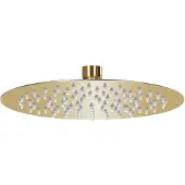 vidaXL Regenbrause Edelstahl 20 cm Rund Golden