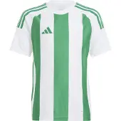 Adidas Trikot Striped 24 "WHITE/TEAGRN" für Kinder