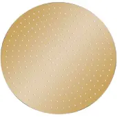 The Living Store Regenbrause Edelstahl 40 cm Rund Golden