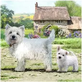 Craft Buddy Crystal Art Card Westie 18x18cm