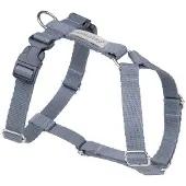 Amiplay Guard Samba verstellbarer Gurt M Grau