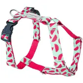 Amiplay Guard verstellbares Geschirr BeHappy S Watermelon