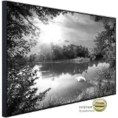 Papermoon Infrarotheizung »EcoHeat - Landschaft mit Schwan«, Matt-Effekt - bunt